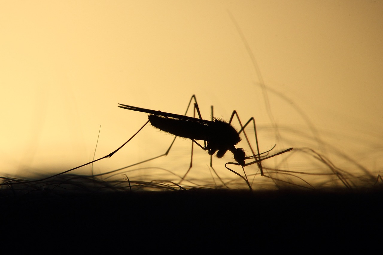 Risques nature en ville - Sciences pour tous
