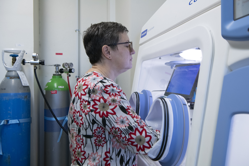 Isabelle Daniel, au laboratoire LGL-TPE